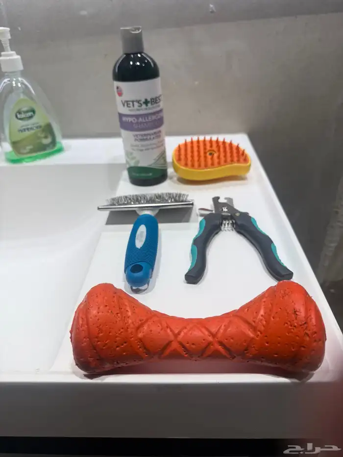 كلب روت ويلر العمر 4 شهور الحجم كبير 7