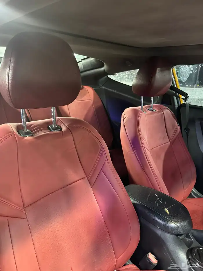 فلوستر 2014 19