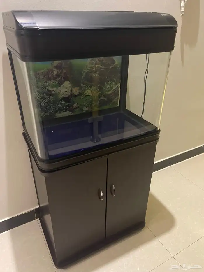 حوض سمك و جميع اغراضه 1