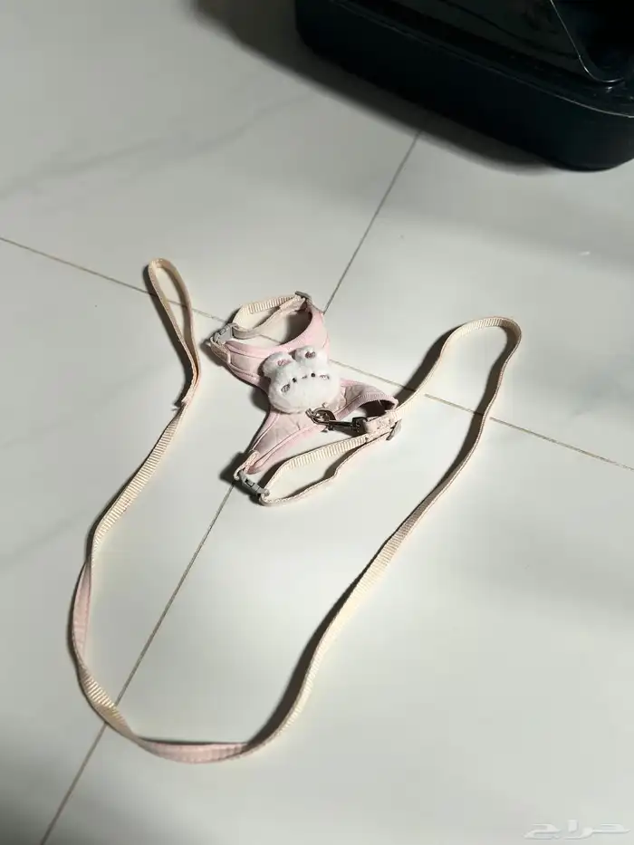 مستلزمات قطط 5