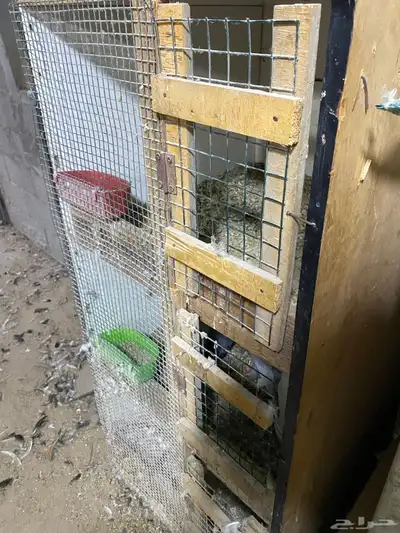 للبيع محاكر خشب ثنين index