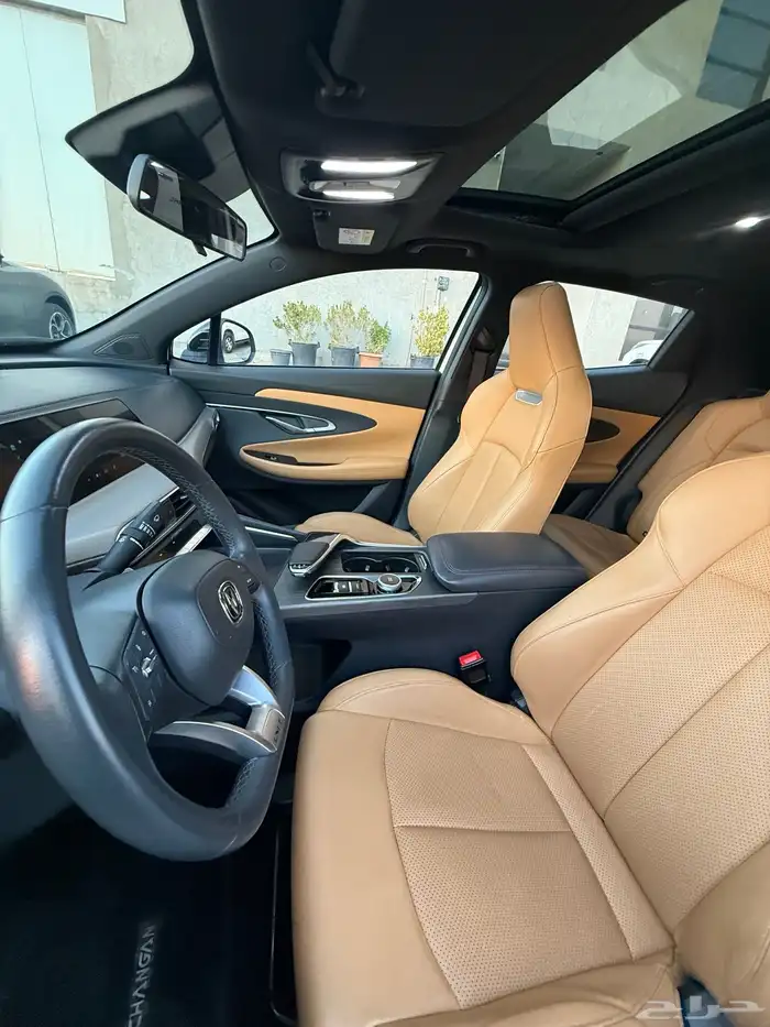 شانجان قمة في النظافة 5