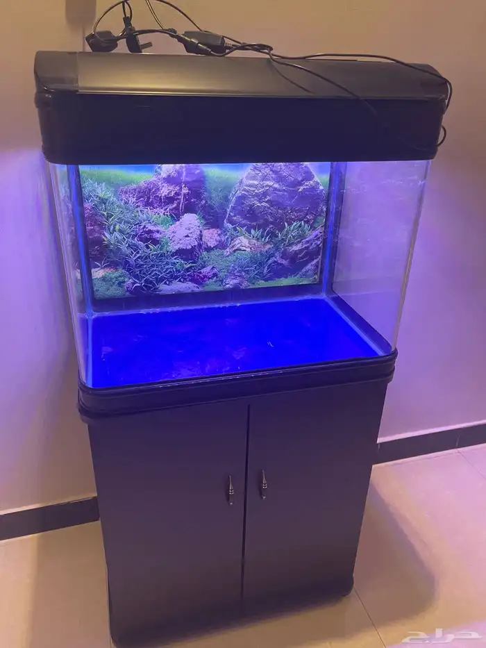 حوض سمك و جميع اغراضه 0