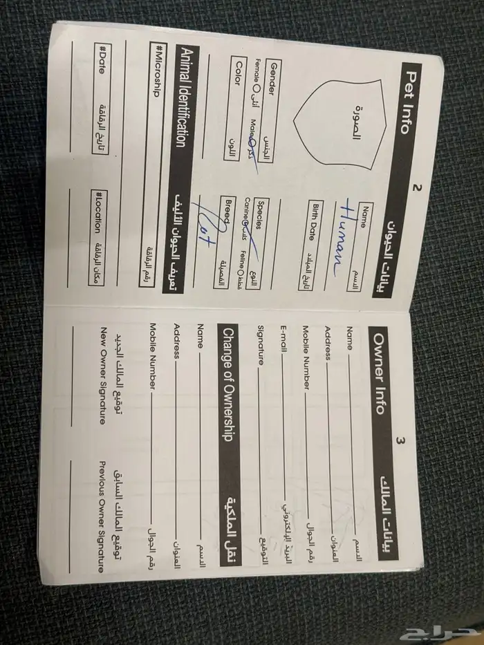 كلب روت ويلر العمر 4 شهور الحجم كبير 2