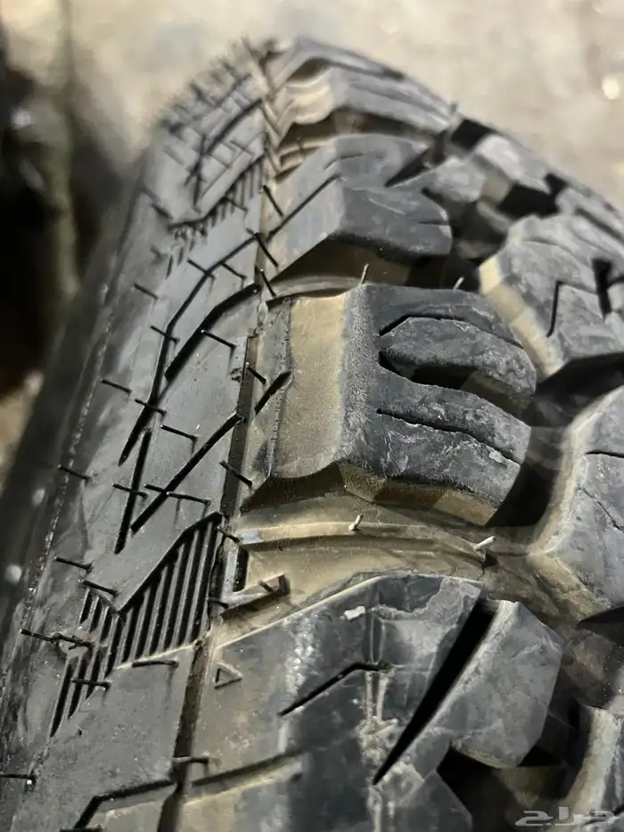 جنوط مثد القصه الجديد فيراني معا كفرات بي واي نص حجري17 9