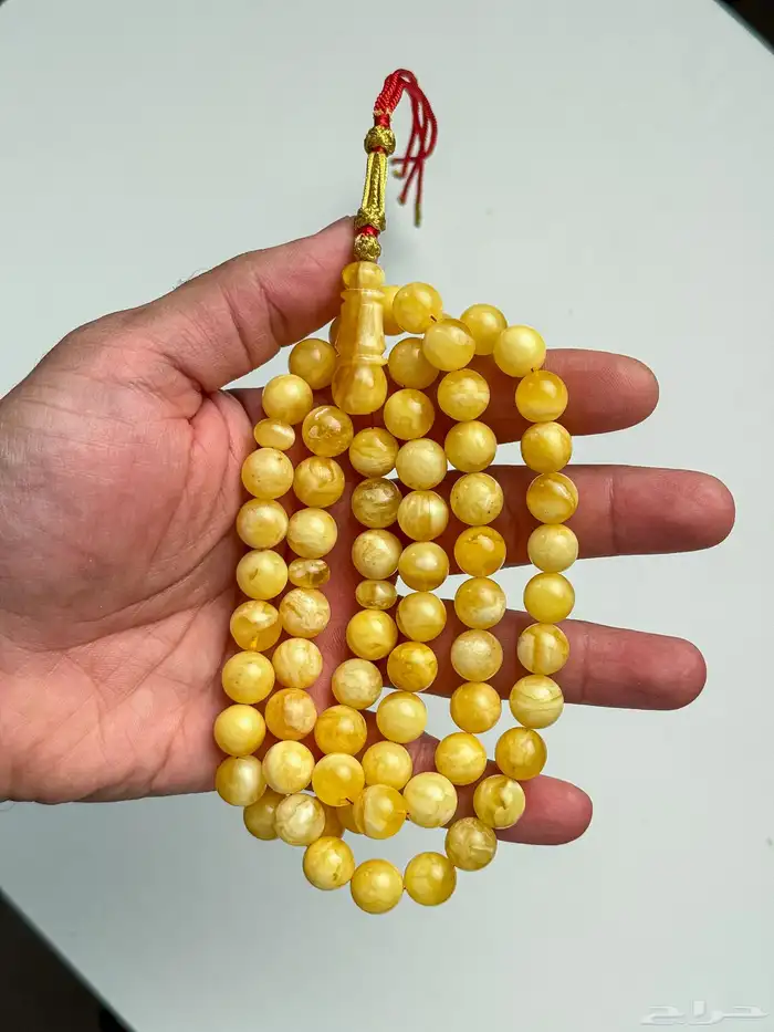 كهرمان تشخيط بتشجير قديم 3