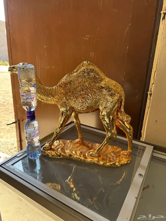 مجسم جمل لون ذهبي حجم كبير 0