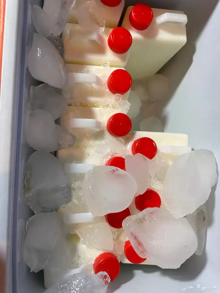 بقل اقط مضير سمن غنم سمن معزا بقر صواني زبده معزا ضيافه دخن 2