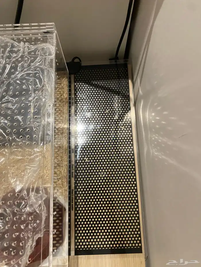 بول بايثون للبيع 2