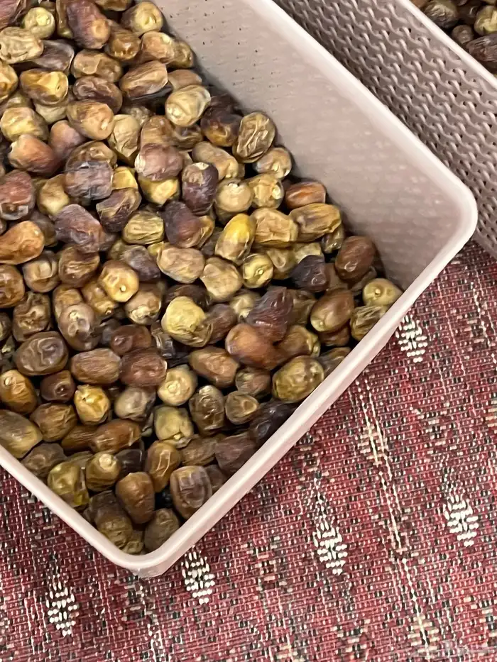 تمر سكري وتمر خلاص 5