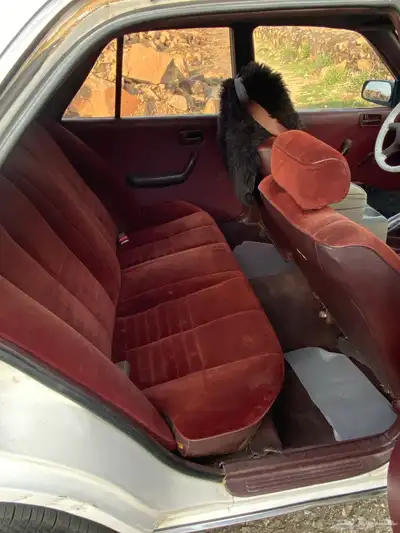 كراسيدا index