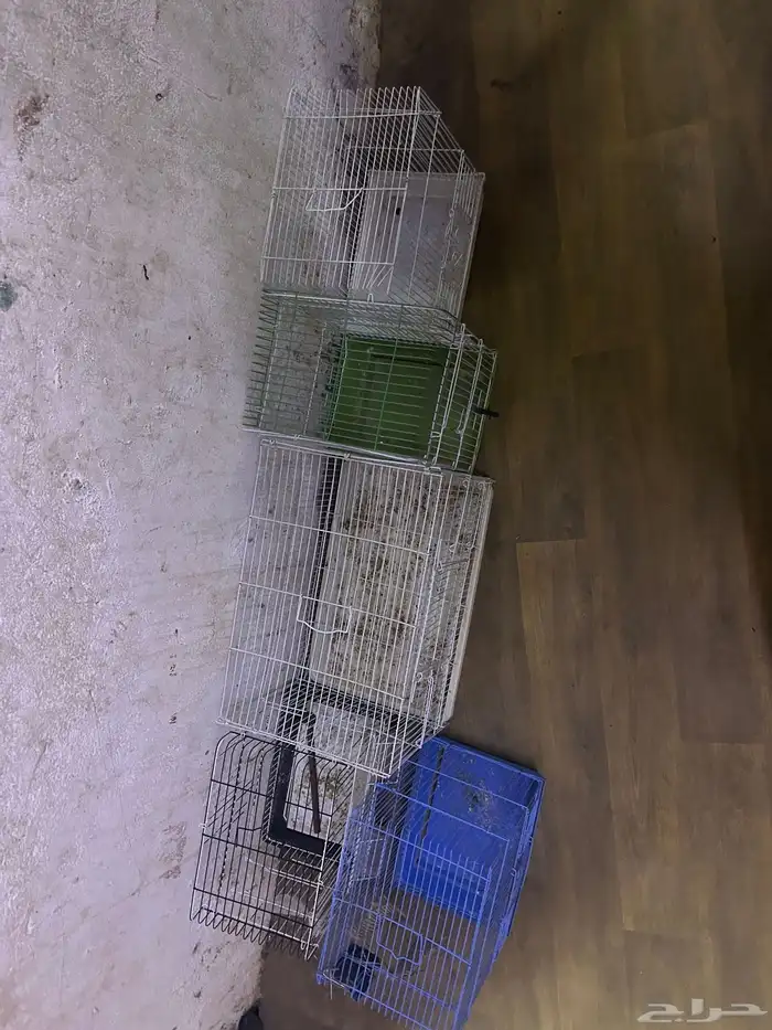 سلام عليكم قفص البادجي 1