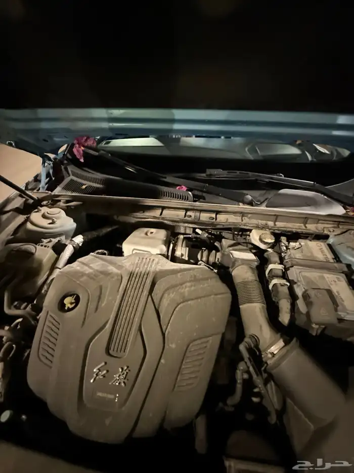 اوسادو 2024 - Ousado 2024 6