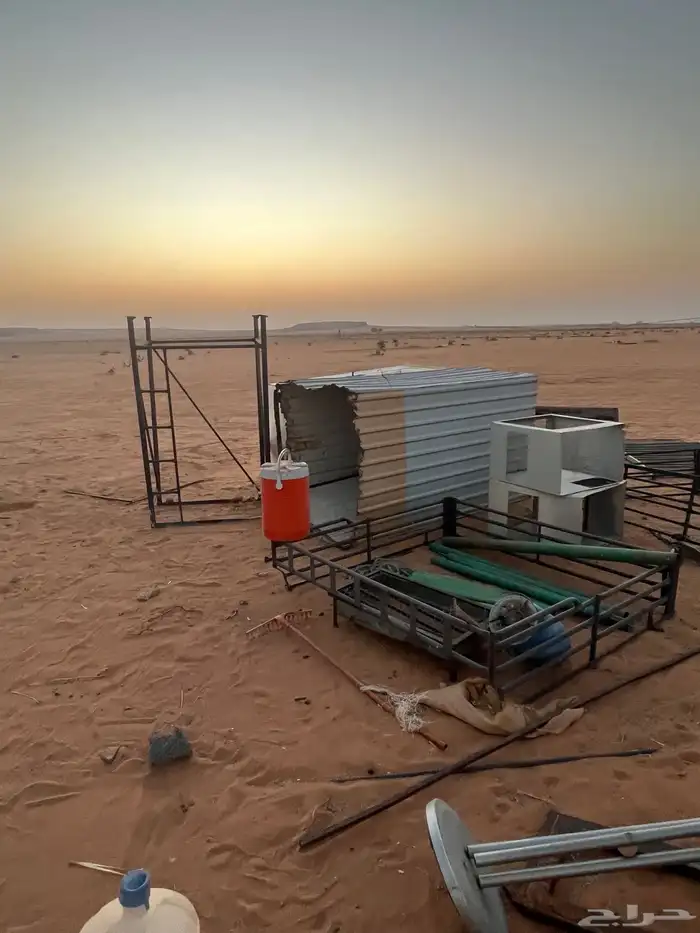 شبوك غنم ومستلزماتها 1