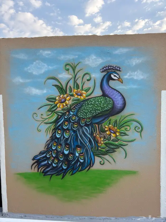 خطاط ورسام 5