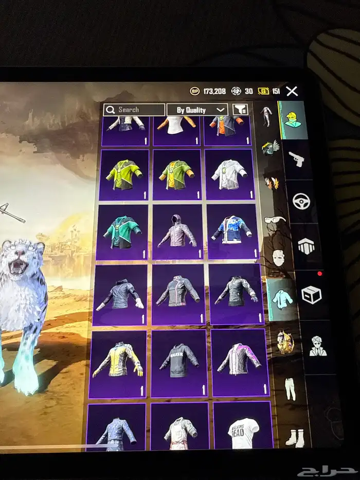 حساب ببجي للبيع مستعجل 17