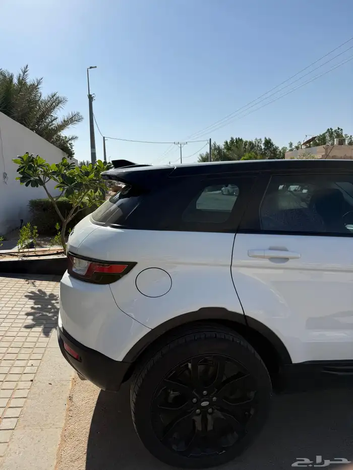 لاندرو ر اي وك 2018 3