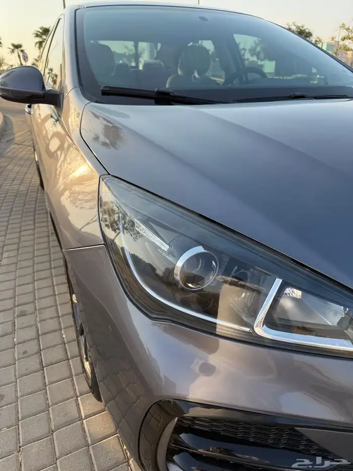 شيري اريزو 5 2024 الوكيل   الناغي 4