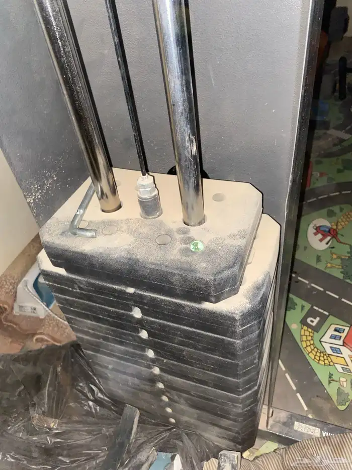 توجد العضل وكرسي الضهر 1