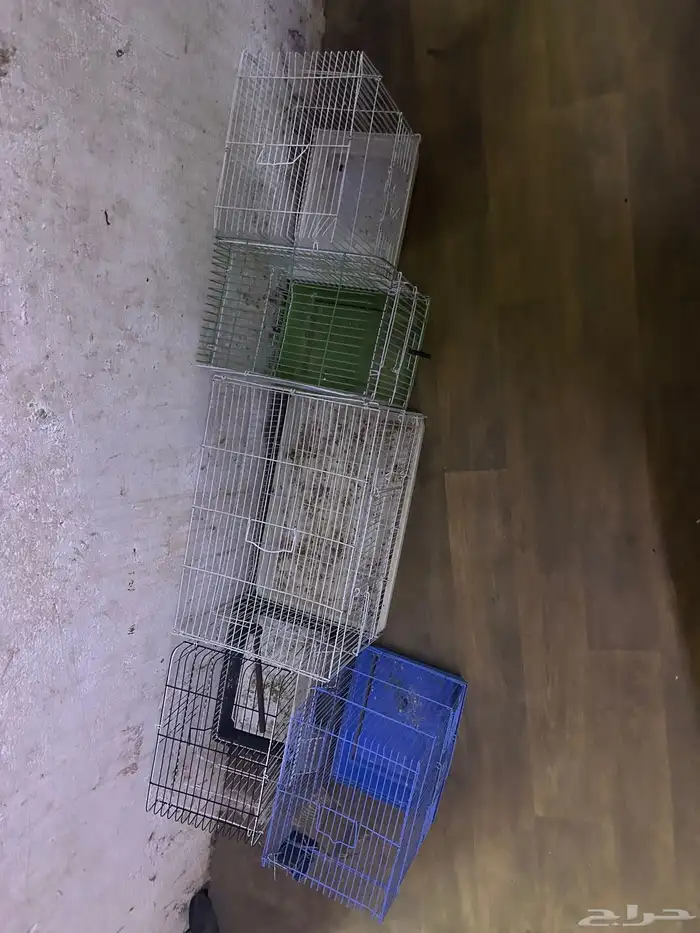 سلام عليكم قفص البادجي 0