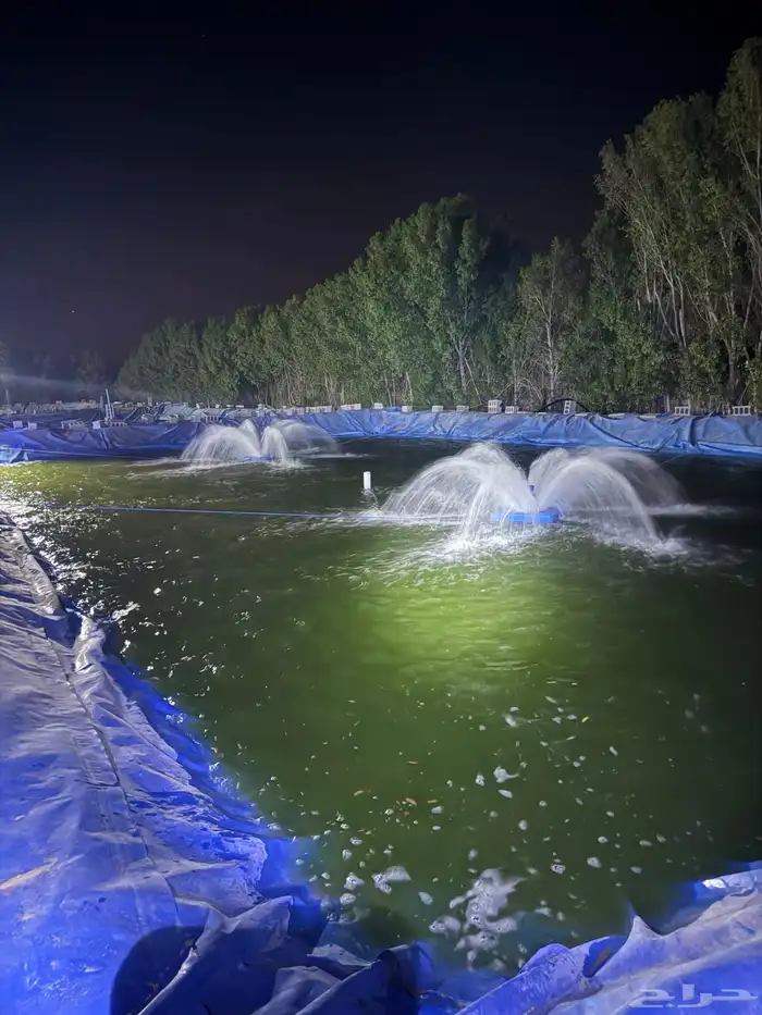 نوافير اوكسجين لمزرعة سمك البلطي او اي سمك وايضا  مشمع لأحواض 5