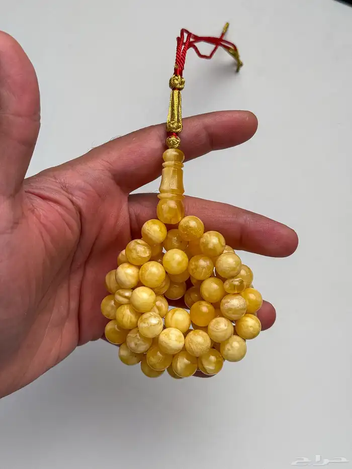 كهرمان تشخيط بتشجير قديم 1