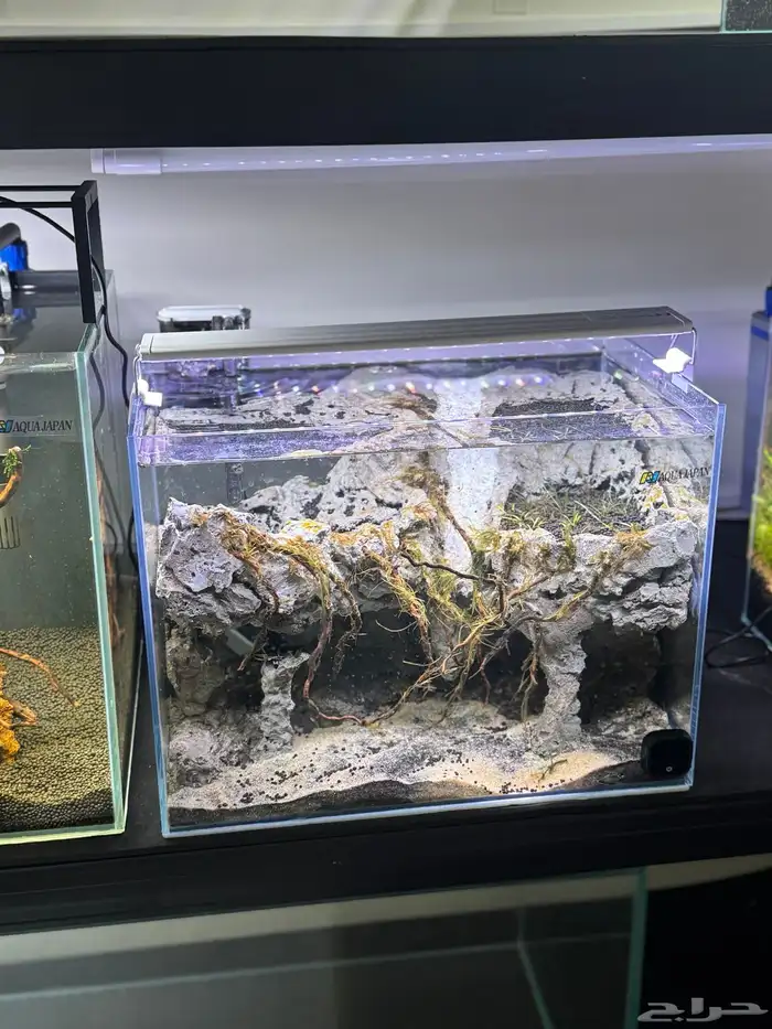 احواض سمك aquarium مزروعة  ونباتات مائية   تصاميم إحترافية 3