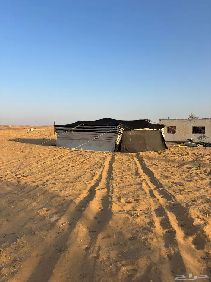 قطبه للبيع 2