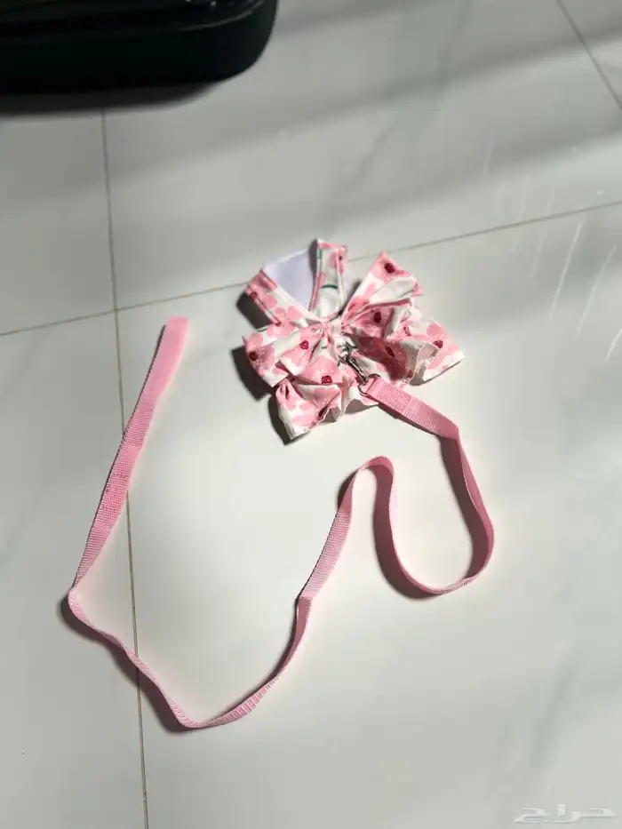 مستلزمات قطط 4