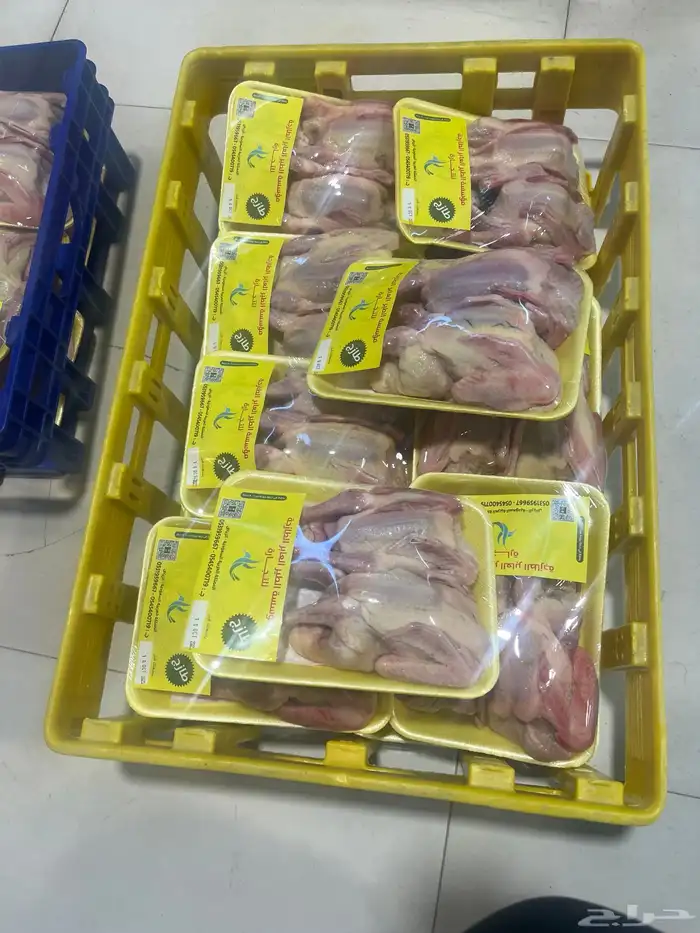 مقطع وجاهز 5