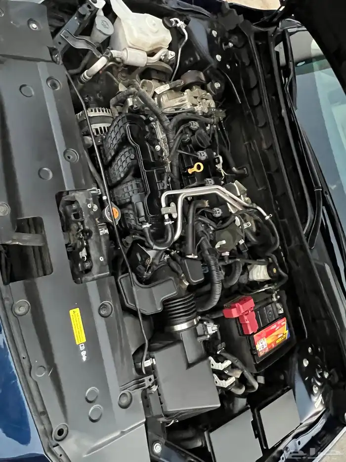 التيماء 2023 ستاندرد 18