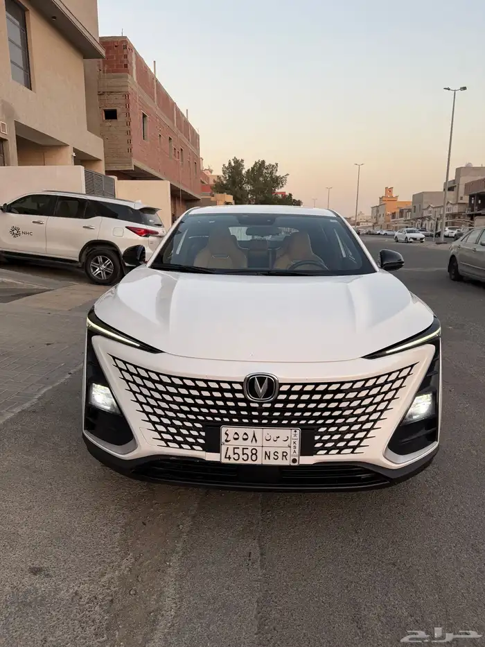 شانجان قمة في النظافة 6