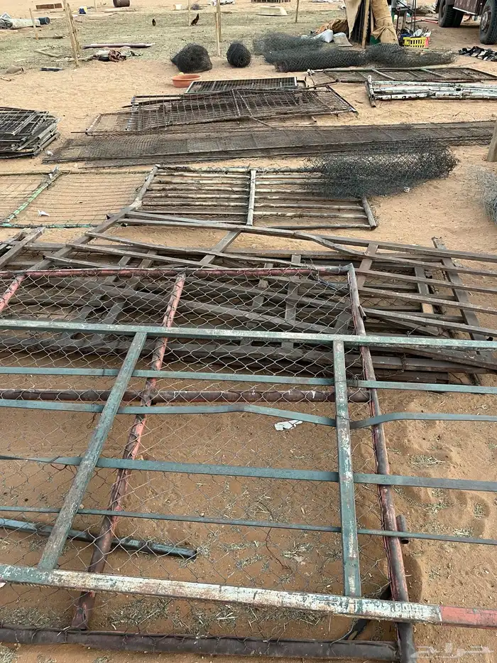 شبوك غنم ومستلزماتها 13