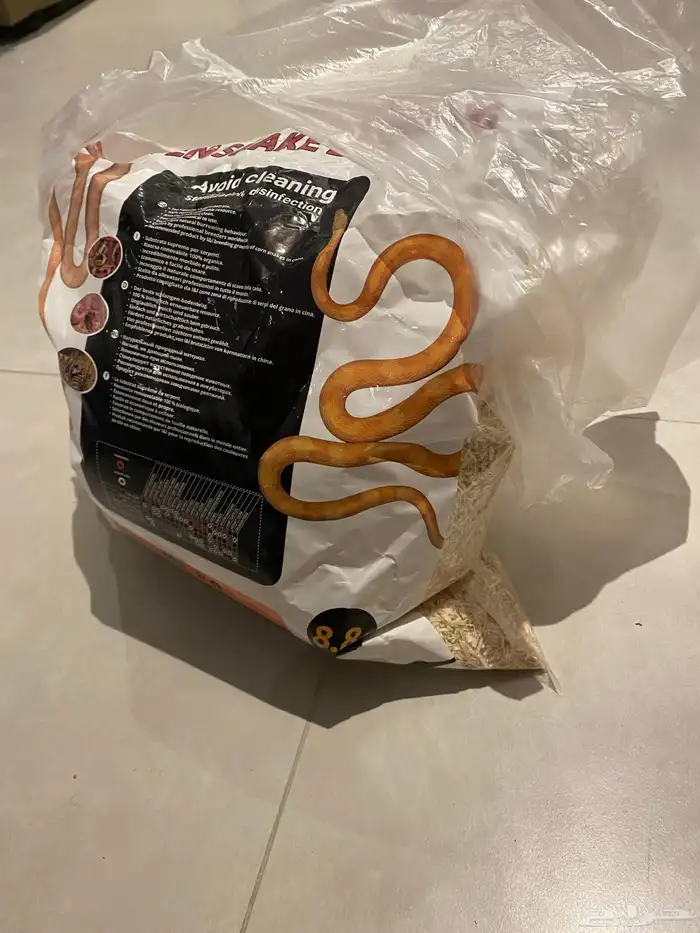 بول بايثون للبيع 0