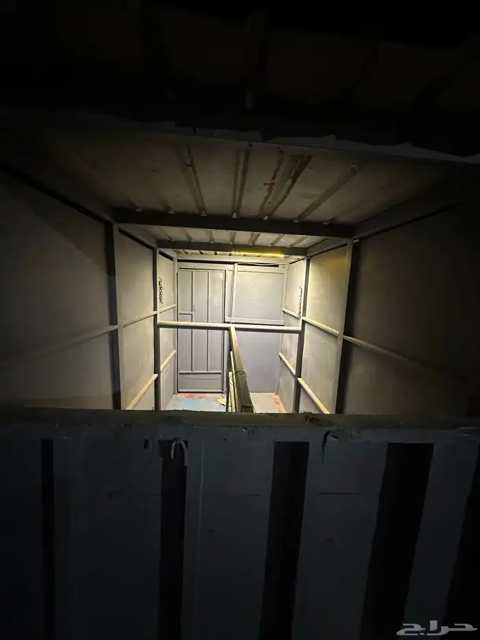 عربه خيل للبيع 6