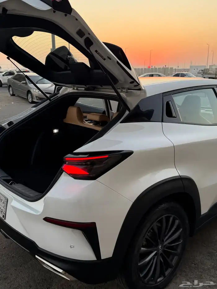 شانجان قمة في النظافة 18