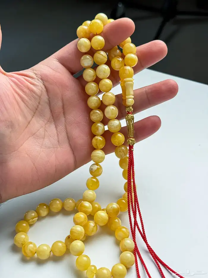 كهرمان تشخيط بتشجير قديم 2