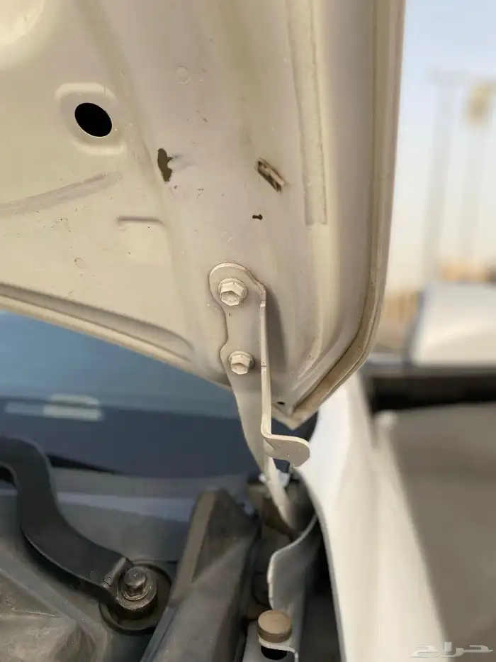 سكويا 2014 نظيف 44