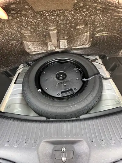 كوليوس رينو شرط بدي و غيره 22 index