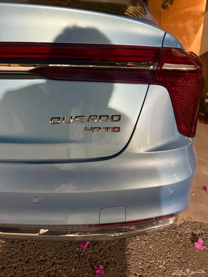 اوسادو 2024 - Ousado 2024 19