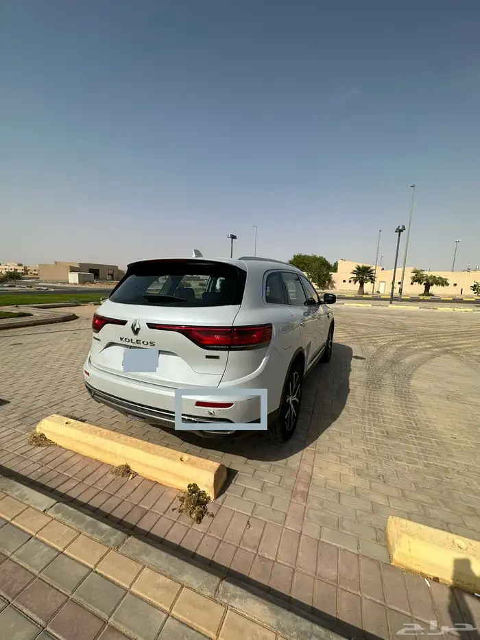 كوليوس رينو شرط بدي و غيره 22 5