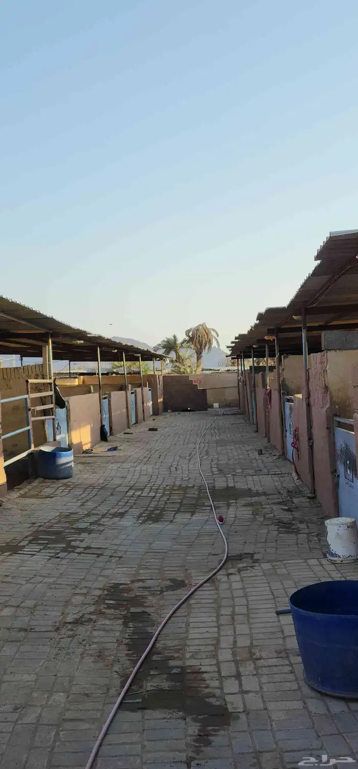 إيواء غرف خيل 5