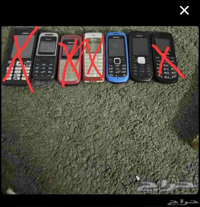 جولات كشاف اصلي 0