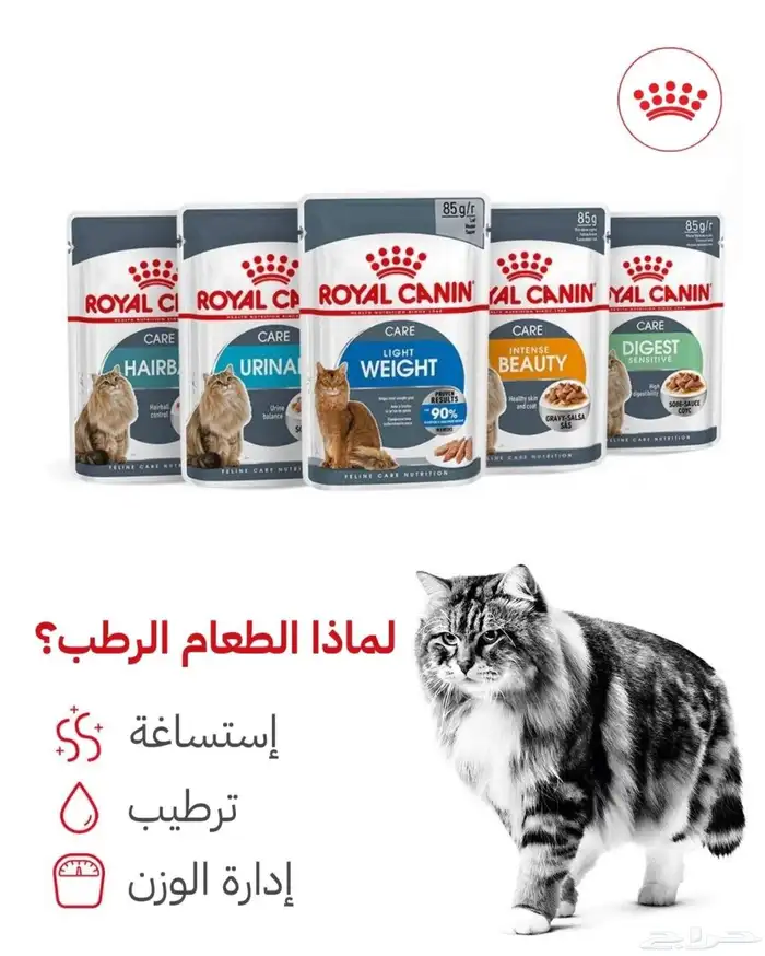 احتياجات للحيوانات الاليفة 8