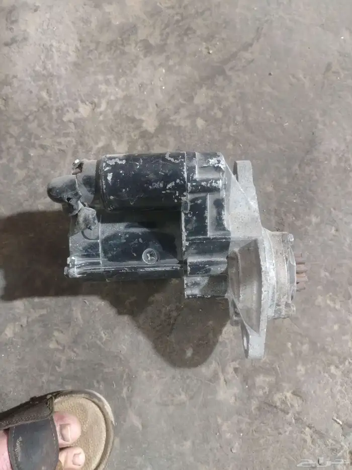 سلف دينا ازوز وكاله 0