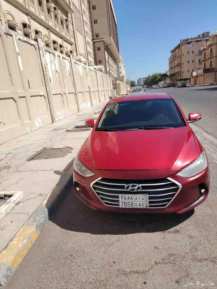 النترا 2017 20