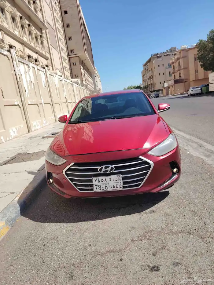 النترا 2017 23