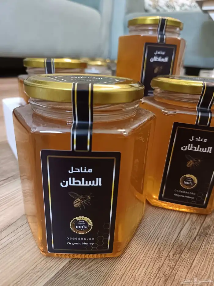 نحل مصري بالخلايا 10 0