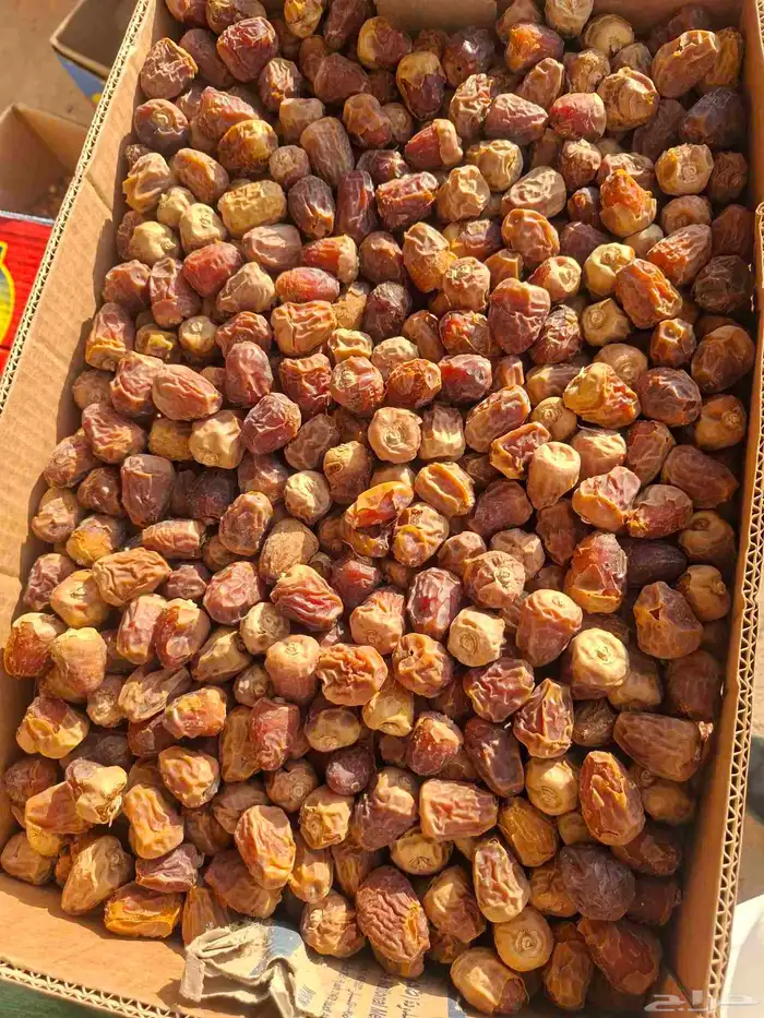 تمر سكري ناشف شوي بدون كيماوي. 0