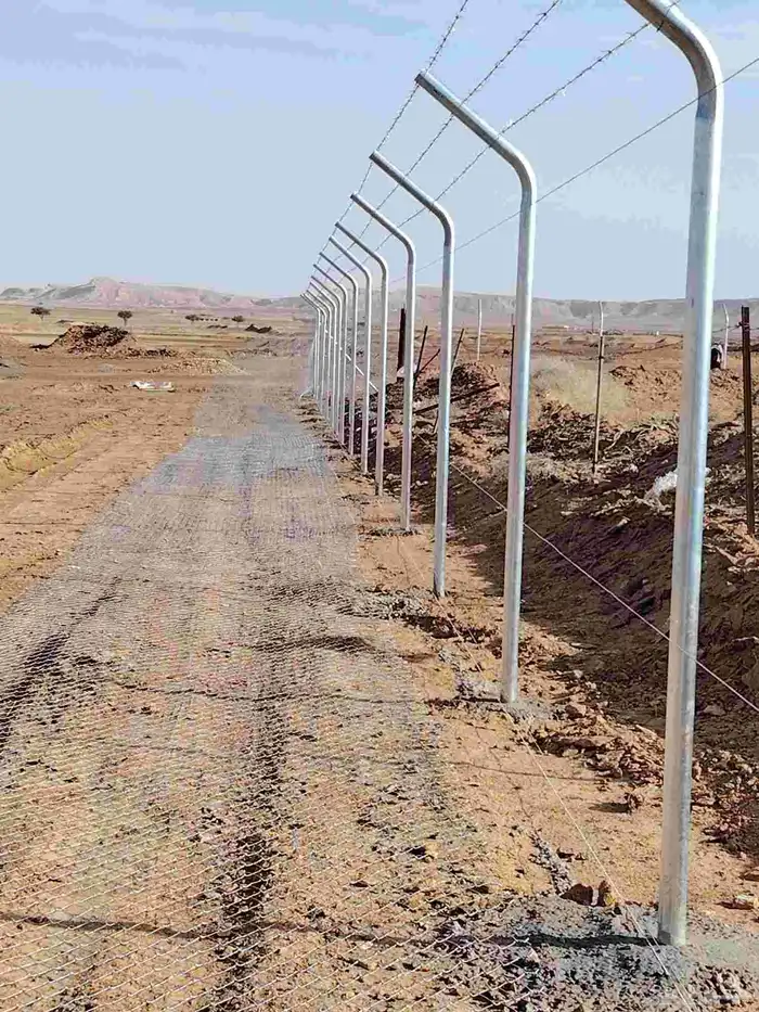 نقوم بتركيب الشبوك تحت ايادي متخصصه وتركيب النخيل 5